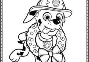 Coloriage Marcus Pat Patrouille 54 Meilleures Images Du Tableau Coloriage Pat Patrouille
