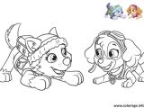 Coloriage Marcus Pat Patrouille Coloriage Pat Patrouille Everest Joue Avec Stella Dessin  
