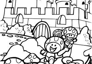 Coloriage Mario 3d World Ausmalbilder Super Mario 3d Land L Meublerc