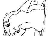 Coloriage Marmotte A Imprimer Coloriage Marmotte   Imprimer Gratuitement
