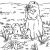 Coloriage Marmotte A Imprimer Coloriage Marmottes En Ligne Gratuit   Imprimer