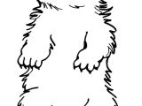 Coloriage Marmotte A Imprimer Dessin De Coloriage Marmotte   Imprimer Cp