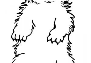 Coloriage Marmotte A Imprimer Dessin De Coloriage Marmotte   Imprimer Cp