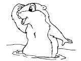 Coloriage Marmotte A Imprimer Dessin De Coloriage Marmotte   Imprimer Cp