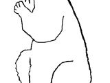 Coloriage Marmotte A Imprimer Sélection De Coloriage Marmotte   Imprimer Sur Laguerche Page 1