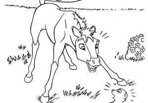 Coloriage Marmotte Imprimer Gratuit Coloriage A Imprimer Spirit Et La Marmotte Gratuit Et Colorier