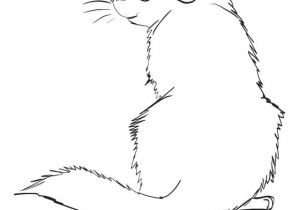 Coloriage Marmotte Imprimer Gratuit Coloriage Marmotte Les Beaux Dessins De Animaux   Imprimer Et Colorier