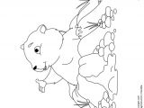 Coloriage Marmotte Montagne Coloriage Marmotte Montagne Dessin Gratuit   Imprimer