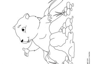 Coloriage Marmotte Montagne Coloriage Marmotte Montagne Dessin Gratuit   Imprimer