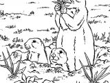 Coloriage Marmotte Montagne Coloriage Marmottes En Ligne Gratuit   Imprimer
