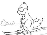 Coloriage Marmotte Montagne Coloriages Marmotte   Ski Fr Hellokids