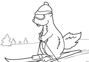 Coloriage Marmotte Montagne Coloriages Marmotte   Ski Fr Hellokids