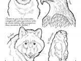 Coloriage Marmotte Montagne Dessin   Colorier Sur Les Animaux De La Montagne
