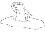 Coloriage Marmotte Montagne Dessins De Marmotte   Colorier