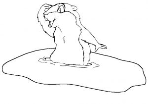 Coloriage Marmotte Montagne Dessins De Marmotte   Colorier