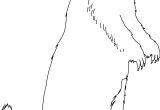 Coloriage Marmotte Qui Dort Sélection De Coloriage Marmotte   Imprimer Sur Laguerche Page 1