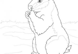 Coloriage Marmotte Rigolote Coloriage De La Marmotte Mune Coloriage Marmotte Rigolote