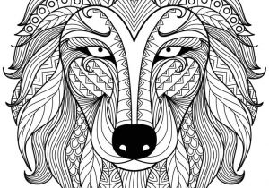 Coloriage Mini Loup à L école 190 Best Animal Zentangles Images On Pinterest