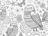 Coloriage Minutieux Coloring for Adults Kleuren Voor Volwassenen