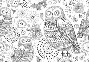 Coloriage Minutieux Coloring for Adults Kleuren Voor Volwassenen