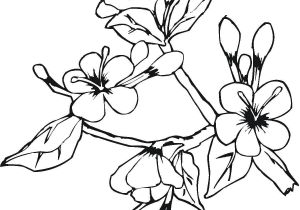 Coloriage Mois De Mai Coloriage Plante En Fleur Au Mois De Mai