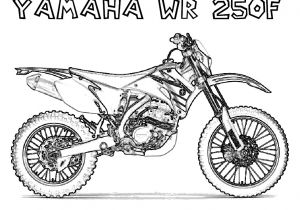 Coloriage Motocross Freestyle Coloriage Motocross 21 Dessin Coloriage Motocross Freestyle Coloriage Motocross 21 Dessin
