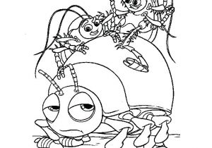 Coloriage Mygale Coloriage Insectes A Imprimer Gratuit Coloriage Mygale Imprimer