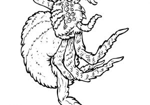 Coloriage Mygale Coloriages Jungle Le Paradis Des Z Animaux