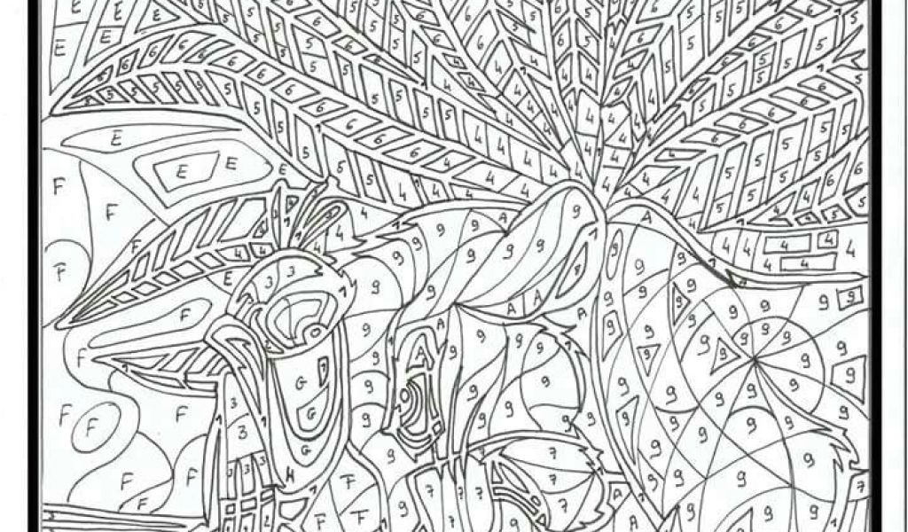 Coloriage Mystere A Imprimer Gratuit Épinglé Sur Coloriages | danieguto