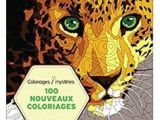 Coloriage Mystere Adulte Hachette 100 Coloriages Myst¨res " De Jérémy Mariez Aux éditions Hachette