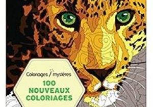 Coloriage Mystere Adulte Hachette 100 Coloriages Myst¨res " De Jérémy Mariez Aux éditions Hachette