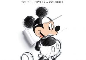 Coloriage Mystere Disney Leclerc the 133 Best Livre De Coloriage Hachette Images On Pinterest