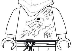 Coloriage Ninja Go 13 Best Dessins Images On Pinterest