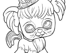 Coloriage Noel Pet Shop Coloriages A Imprimer Pet Shop