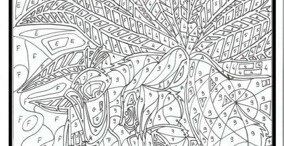 Coloriage Numero Adulte A Imprimer Coloriage Mystere Adulte Fresh 269 Best Coloriage Par