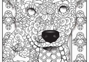 Coloriage Numero Adulte A Imprimer Coloriage Numéroté Adulte À Imprimer Vvivante with