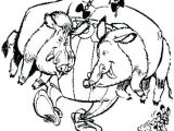 Coloriage Obelix Sanglier Dessin Sanglier Imprimer Gratuit Coloriage Sanglier Imprimer Gratuit
