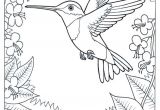 Coloriage Oiseaux A Imprimer Gratuit Coloriage Colibri
