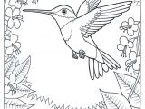 Coloriage Oiseaux A Imprimer Gratuit Coloriage Colibri