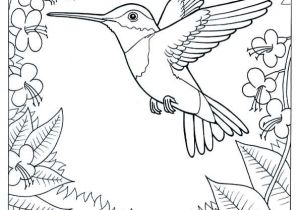 Coloriage Oiseaux A Imprimer Gratuit Coloriage Colibri