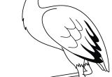 Coloriage Oiseaux A Imprimer Gratuit Dessin   Colorier Une Cigogne Projet Art