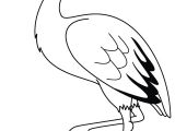 Coloriage Oiseaux A Imprimer Gratuit Dessin   Colorier Une Cigogne Projet Art