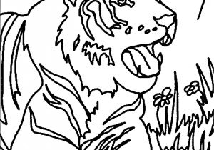Coloriage Oiseaux A Imprimer Gratuit Luxury Coloriage Oiseaux  Imprimer
