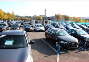 Coloriage original à Imprimer 14 Frais Coloriage Adulte  Imprimer Avec Mod¨le Stock