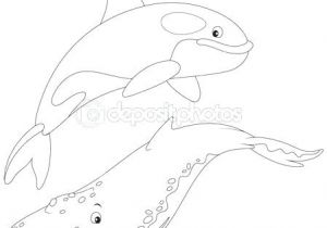 Coloriage orque Epaulard 15 Dessins De Coloriage orque Epaulard A Imprimer Voir Le Dessin