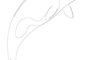 Coloriage orque Epaulard Coloriage orque épaulard