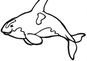 Coloriage orque Et Baleine 114 Dessins De Coloriage orque   Imprimer