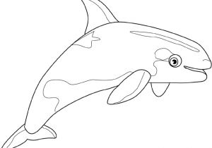 Coloriage orque Et Baleine 16 Dessins De Coloriage orque A Imprimer Gratuit   Imprimer