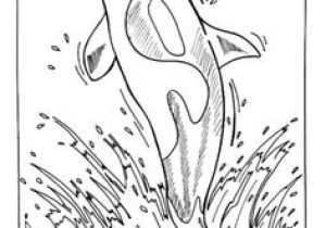 Coloriage orque Et Baleine 68 Best Coloriages Animaux Marins Images On Pinterest