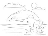 Coloriage orque Et Baleine Coloriage Adorable orque Qui Saute Hors De L Eau